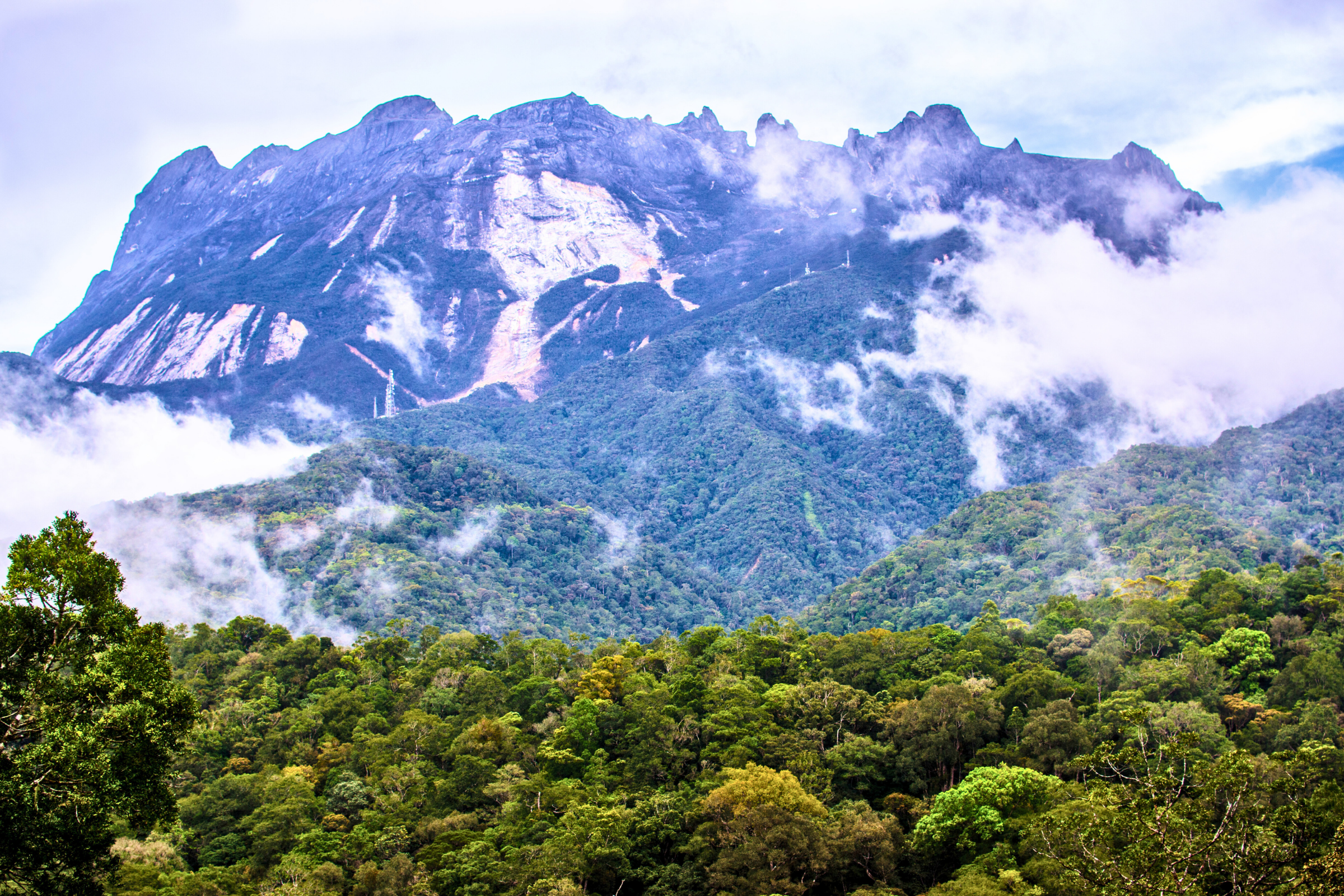 kinabalu national park (3).webp
